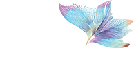 Shenzhen Haohao Culture and Art Media Co., Ltd